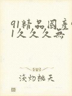91精品国产91久久久无