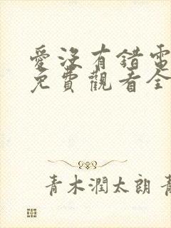 爱没有错电视剧免费观看全集