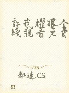 许我耀眼全集在线观看免费