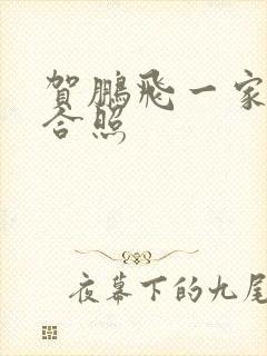 贺鹏飞一家四口合照