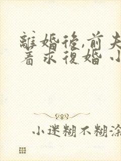 离婚后,前夫哭着求复婚 小说免费阅读