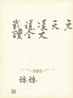 武道凌天免费阅读全文封面