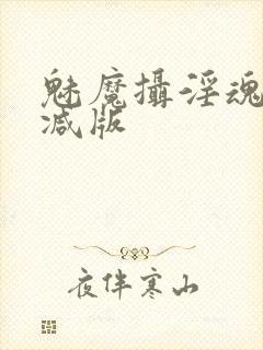 魅魔摄淫魂无删减版