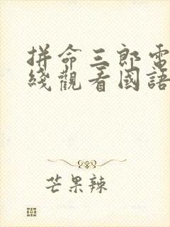 拼命三郎电影在线观看国语版封面