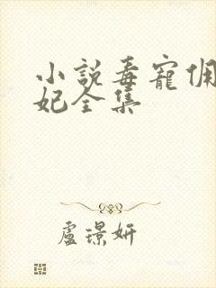 小说毒宠佣兵王妃全集