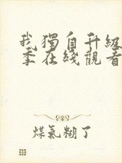 我独自升级第二季在线观看动漫