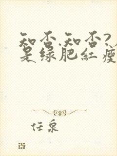 知否.知否?应是绿肥红瘦演员表