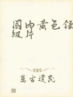 国内黄色录像一级片封面