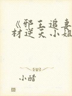 《邪王追妻:废材逆天小姐