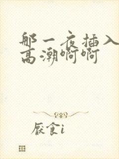 那一夜插入少妇高潮啊啊