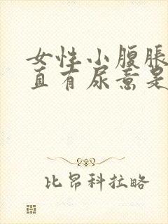 女性小腹胀痛一直有尿意是怎么回事封面