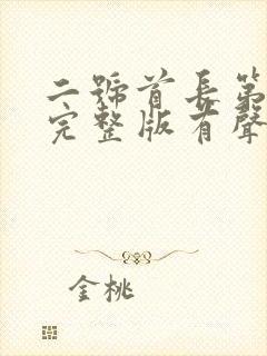 二号首长第四部完整版有声小说