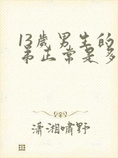 13岁男生的弟弟正常是多少米