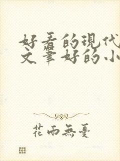 好看的现代言情文笔好的小说