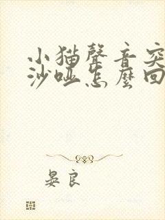 小猫声音突然变沙哑怎么回事封面