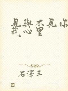 见与不见你都在我心里封面