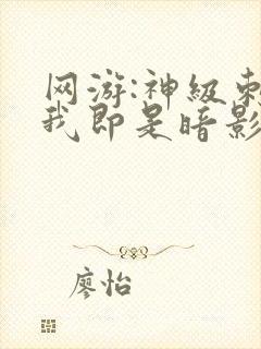 网游:神级刺客我即是暗影