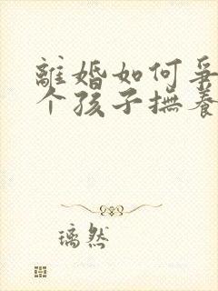 离婚如何争取两个孩子抚养权