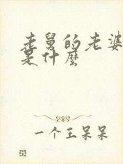 老舅的老婆结局是什么