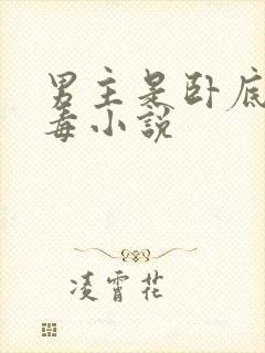 男主是卧底的缉毒小说