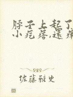 脖子上起了好多小疙瘩,还痒痒,是怎么回事