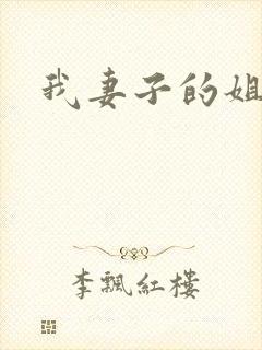 我妻子的姐姐2封面