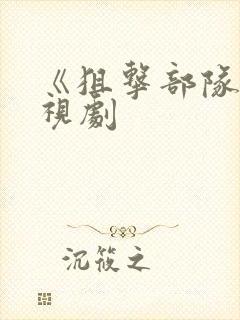 《狙击部队》电视剧封面