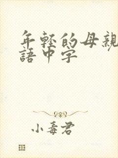 年轻的母亲2韩语中字