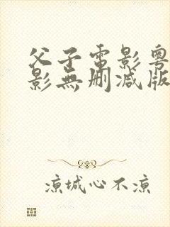 父子电影粤语电影无删减版封面