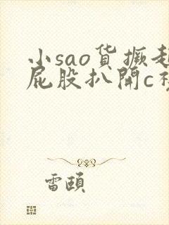 小sao货撅起屁股扒开c视频