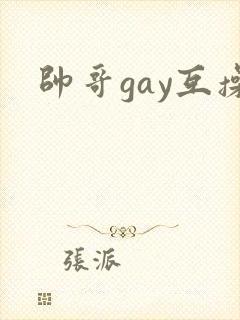 帅哥gay互操