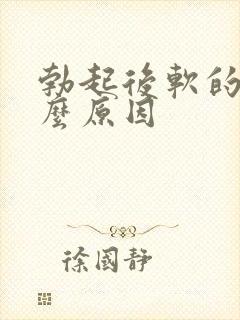 勃起后软的快什么原因