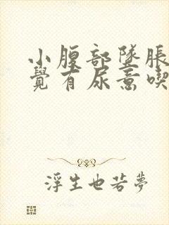 小腹部坠胀老感觉有尿意吃什么药