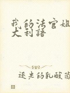 我的法官姐姐意大利语