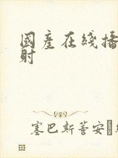 国产在线播放内射