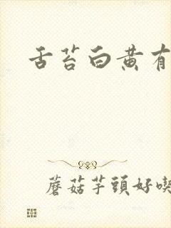 舌苔白黄有齿痕