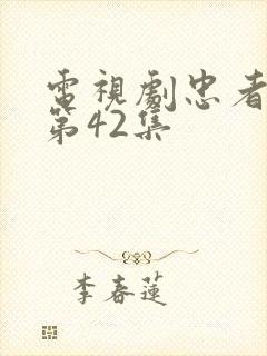 电视剧忠者无敌第42集