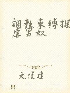 调教束缚捆绑私虐男奴封面