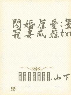 闪婚厚爱:墨少宠妻成瘾txt下载
