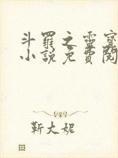 斗罗之灵宝斗罗小说免费阅读