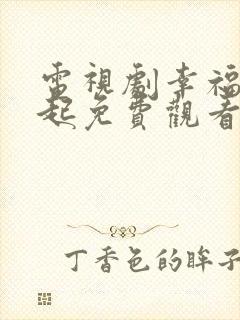 电视剧幸福在一起免费观看