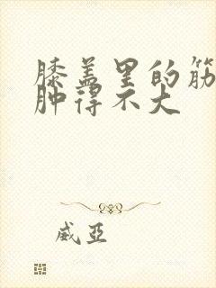 膝盖里的筋扭了肿得不大