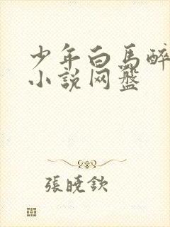 少年白马醉春风小说网盘