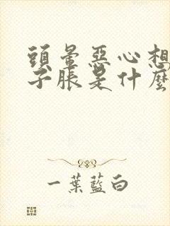 头晕恶心想吐肚子胀是什么原因造成的