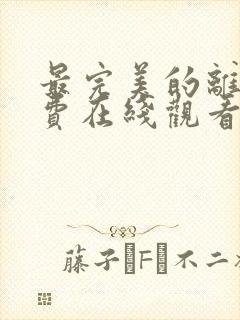 最完美的离婚免费在线观看