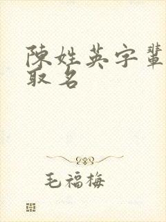 陈姓英字辈男孩取名