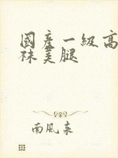 国产一级高跟丝袜美腿