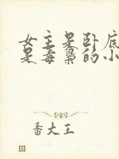 女主是卧底男主是毒枭的小说封面