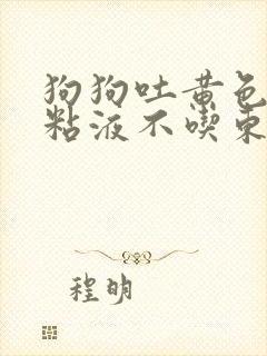 狗狗吐黄色泡沫粘液不吃东西怎么办