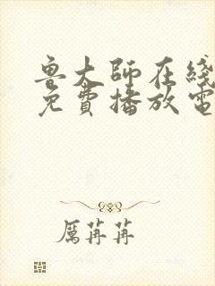 鲁大师在线视频免费播放电视剧最